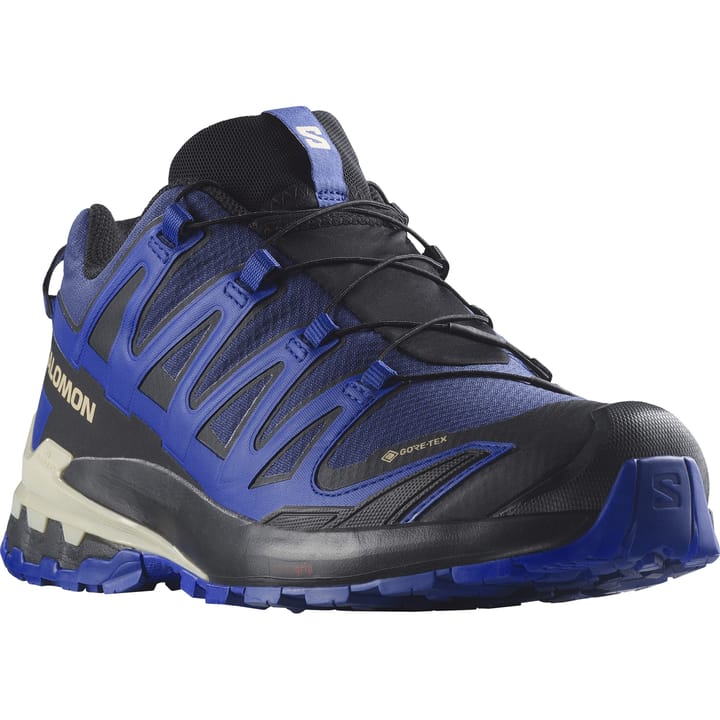xa pro 3d v8 gore tex shoe women's